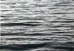 ocean_889